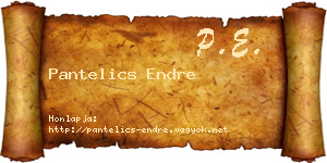 Pantelics Endre névjegykártya